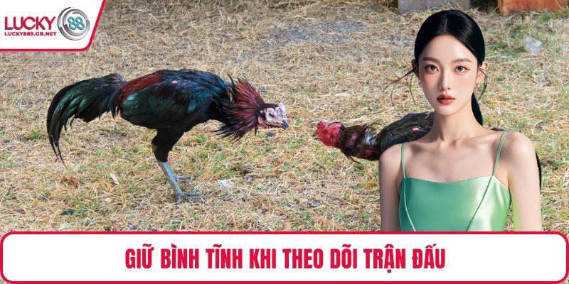 Giữ bình tĩnh khi theo dõi trận đấu