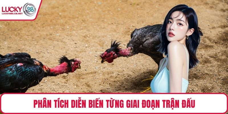 Phân tích diễn biến từng giai đoạn trận đấu