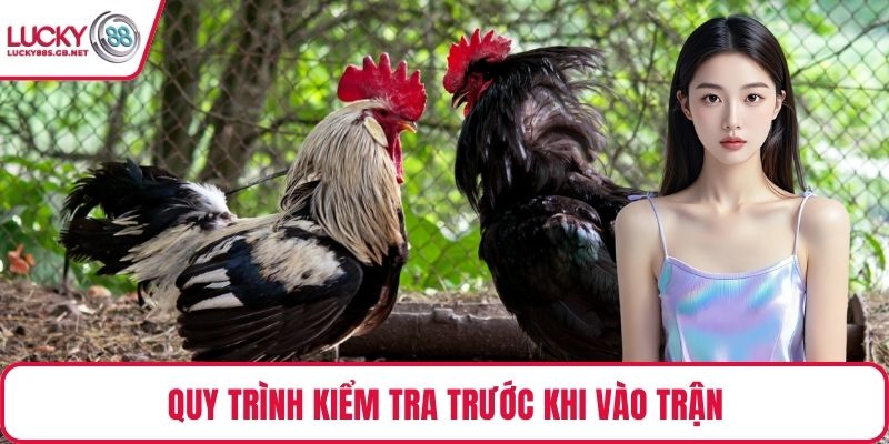 Quy trình kiểm tra trước khi vào trận