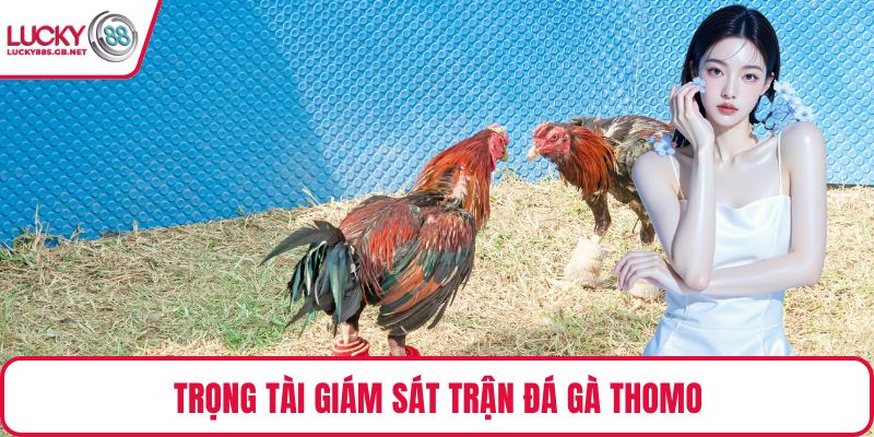 Trọng tài giám sát trận đá gà thomo