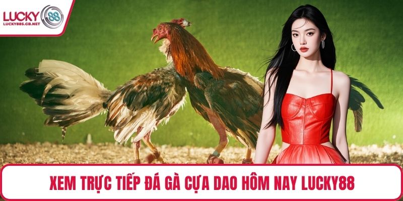 Xem trực tiếp đá gà cựa dao hôm nay Lucky88